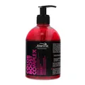 Colour Boost Complex Farbauffrischendes Shampoo szampon tonuj?cy kolor 500g