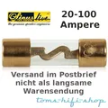 SinusLive 80 Ampere AGU Sicherung SG Glassicherung für Auto Sicherungshalter 80A