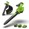 40V Laubbläser, Laubsauger 370 km/h -Greenworks GD40BVIIK2X - inkl. 2x 2Ah Akkus