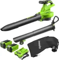 GREENWORKS GD40BVIIK2X AKKU LAUBBLÄSER LAUBSAUGER 40V