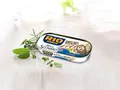 Rio mare sgombro grigliato Makrele 120g gegrillte Makrelenfilets in Brine