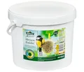 Dehner Natura Wildvogelfutter | Meisenknödel mit Netz | energiereiches Premium Ganzjahresfutter | mit Nüssen | Fettfutter für Meisen und Rotkehlchen |100 Stück | 10 kg