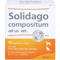 Solidago Comp Ad Us Vet 10 ST