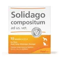 Solidago compositum ad us. vet. 10 Ampullen. Bestandteil der SUC-Kombination | Natürliches Tierarzneimittel für Katzen, Hunde, Kleinnager und Ziervögel | Made in Germany
