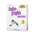 Andrographis Paniculata Kapseln 60 St