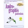 ANDROGRAPHIS PANICULATA Kapseln 60 St PZN 07643333