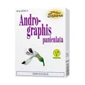 ANDROGRAPHIS paniculata Kapseln 60 St