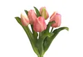 Kunsttulpe Künstlicher Tulpen-Bund 32cm "Soft-Touch" Kunstblume Tulpe, Floratexx GmbH, Höhe 32.00 cm
