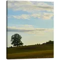 Leinwanddruck Natur Baum Auf Einer Wiese 40x50 Cm Himmel Wiese Wolken