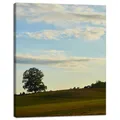 Leinwanddruck Natur Baum auf einer Wiese 40x50 cm Himmel Wiese Wolken