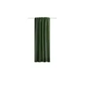 HOMEbasics Fertigschal   ¦ grün ¦ Maße (cm): B: 135 H: 225