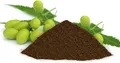 Niempresskuchen 10kg organischer NPK Dünger fein gemahlen erlesene-naturprodukte
