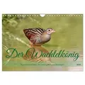Der Wachtelkönig (Wandkalender 2026 DIN A4 quer) CALVENDO Monatskalender von Leo Bucher/ Calvendo / Calvendo / Kalender