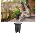 Elho Anzuchttopf green basics Erdbeertopf 33cm living schwarz