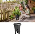 elho green basics Erdbeertopf 33cm living schwarz Erdbeerpot Pflanztopf Anzucht