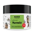 Murmelin Arlberger Murmeltiersalbe 200 ml