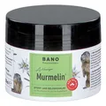 Arlberger Murmelin Sport und Gelenksalbe I Original Murmeltiersalbe I MADE IN AUSTRIA I mit Murmeltieröl | Arnika | Latschenkieferöl | Menthol 200 ml