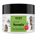 Murmelin Arlberger Murmeltiersalbe · 200 ml · PZN 13834882