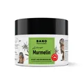 Arlberger Murmelin Sport und Gelenksalbe I Original Murmeltiersalbe I MADE IN...