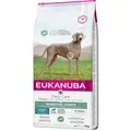 Eukanuba Daily Care Sensitive Joints 12 kg + Überraschung für den Hund