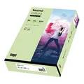 inapa farbiges Druckerpapier, buntes Papier tecno Colors: 80 g/m², A4, 500 Blatt, mittelgrün