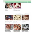 PONS Bildwörterbuch Albanisch
