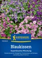 Blaukissen "Superbissima Mischung" Steingarten Samen ca. 50 Pflanzen