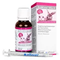 Alfavet RodiCare Vita B, B-Vitamine Ergänzungsfuttermittel für Kaninchen, Meerschweinchen und Kleinnager, 25ml mit Dosierspritze