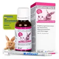 RodiCare Vita B 25 ml von Alfavet – B-Vitamine für Nager