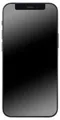 Apple iPhone 12 - 15,5 cm (6.1 Zoll), 64 GB - 12 MP - iOS 14 - Schwarz