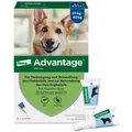 Advantage 400 Hunde ab 25 Kg 1X4 St