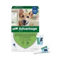 Elanco Advantage® Spot-On 400 für große Hunde von 25 bis 40 kg Körpergewicht, schnelle Bekämpfung und Schutz von Flöhen bis zu 4 Wochen, einfache Spot-on-Anwendung, 4 Pipetten mit 4 ml Lösung