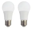Provance LED-Leuchtmittel LED Glühlampe E27 13 Watt ersetzt 100 Watt 1320 Lumen 6500 K, E27, 2 St.