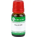 Cina Arca Lm 18 10 ML