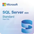 Microsoft SQL Server 2025 Standard 1 User CAL