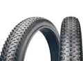 Chaoyang Fahrradreifen 2 x Chaoyang Fatbike Reifen Big Daddy 20x4.0 100-406 Fat Bike, (2-tlg)