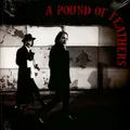 Black Crowes - A Pound Of Feathers (Vinyl LP - 2026 - Original)