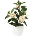 Künstliche Zimmerpflanze Kamelie Kunstpflanze Camellia Japonica im Kunststoff...