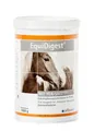 Alfavet EquiDigest 1 kg Pferde | Darmfunktion | Verdauung | Dickdarmbakterien