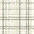 Rasch Tapete 537437 - Karierte Vliestapete in Beige, Cremeweiß und Grün aus der Kollektion Curiosity - 10,05m x 0,53m (LxB)