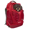Kurgo G-Train Hundetransportrucksack - Bequemer Reiserucksack für kleine Hunde bis zu 11 kg - Robustes Design - Laptopfach - Armorsole-Boden - Wasserabweisend - Chili Rot