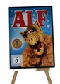 Alf - Die komplette Staffel 1 - Season 1 DVD