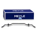 MEYLE Stabilisator Hinterachse