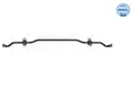 MEYLE 100 653 0017 Stabilisator, Fahrwerk hinten für AUDI SEAT SKODA VW