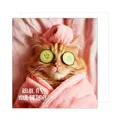 Edition Seidel Premium quadratische Geburtstagskarte mit Umschlag. Glückwunschkarte Happy Birthday Tier Karte Mann Frau Coole Katze Humor Lustig Relax (GQ150 SW024)