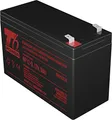T6 Power Akku NP12-9, 12V, 9Ah