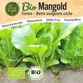 Little Plants BIO Mangold Samen Grün 175 Mangoldsamen Gemüsesamen für Gemüsegarten Samenfest Gemüse Samen Salatsamen für Küche, Balkon und Garten