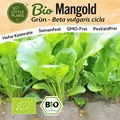 Mangold Samen Grün (BIO) - 175 Samen Gemüsesamen Mangoldsamen Grün
