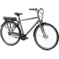 Tretwerk Mystic E Bike 28 Zoll Pedelec 170 - 190 cm Herrenrad Trekking Elektrofahrrad