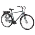 Tretwerk Mystic E Bike 28" Herren Cityrad Trekking 250W Elektrofahrrad MRGR 53cm